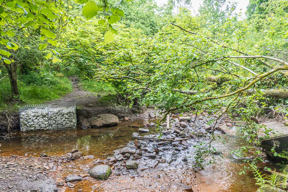 Heathy Lea Brook